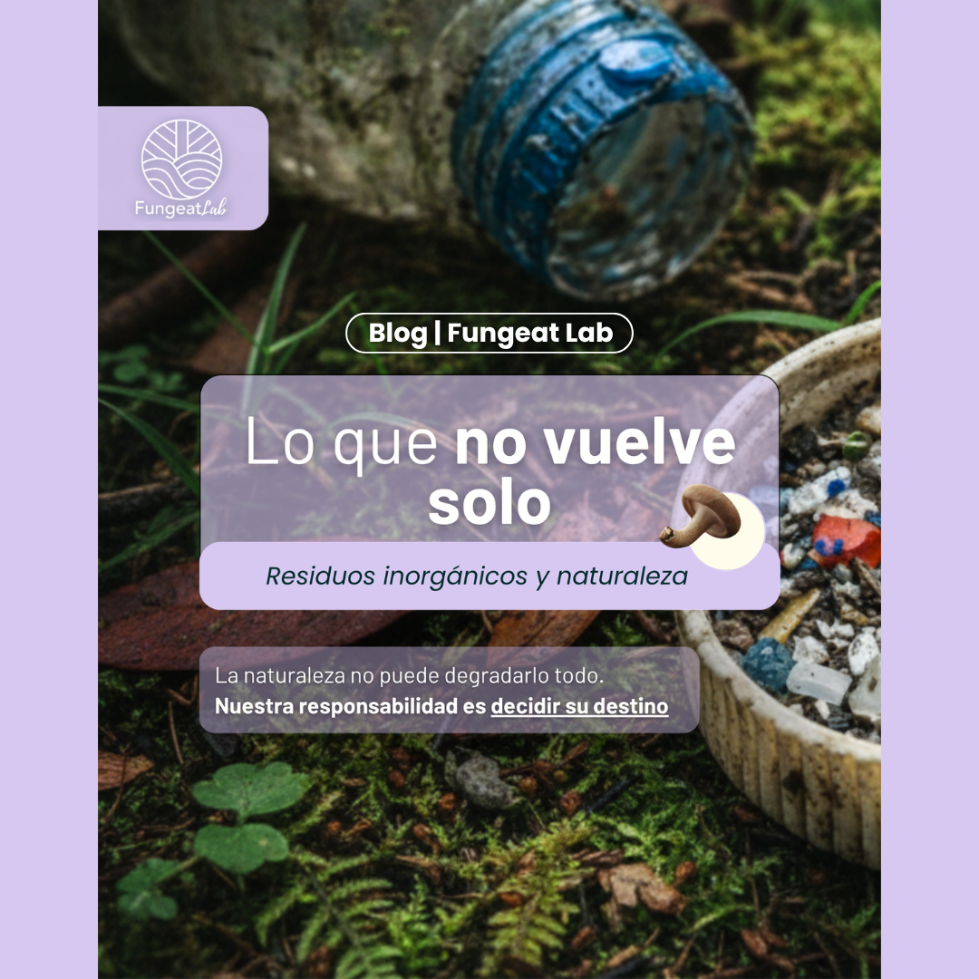Residuos inorgánicos y naturaleza: el desafío de lo que no vuelve solo