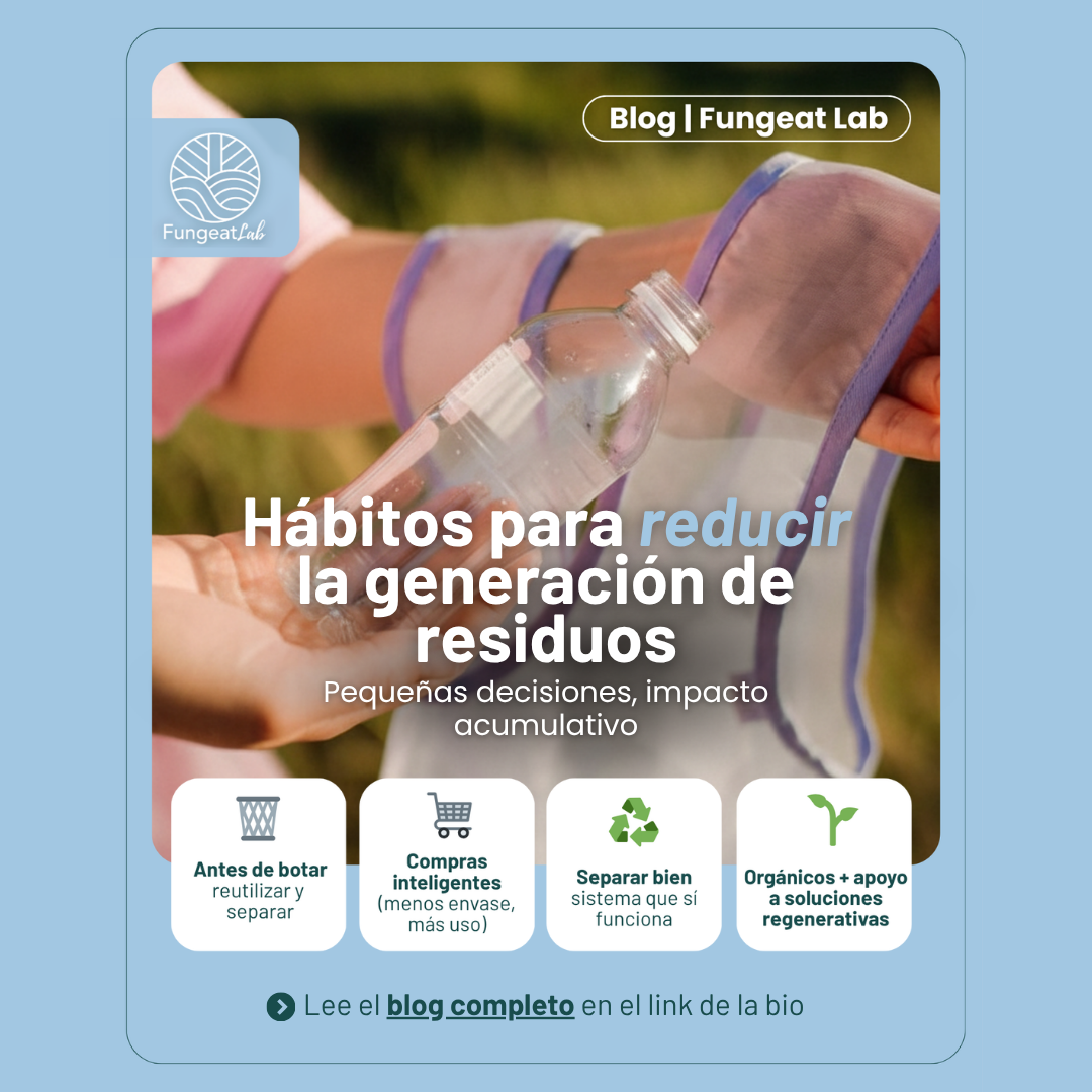 Hábitos para reducir residuos: pequeñas decisiones, impacto acumulativo (y apoyar soluciones regenerativas)