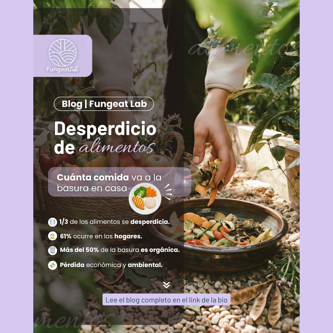 Desperdicio de alimentos en el hogar: cuánta comida va a la basura y cómo reducirla