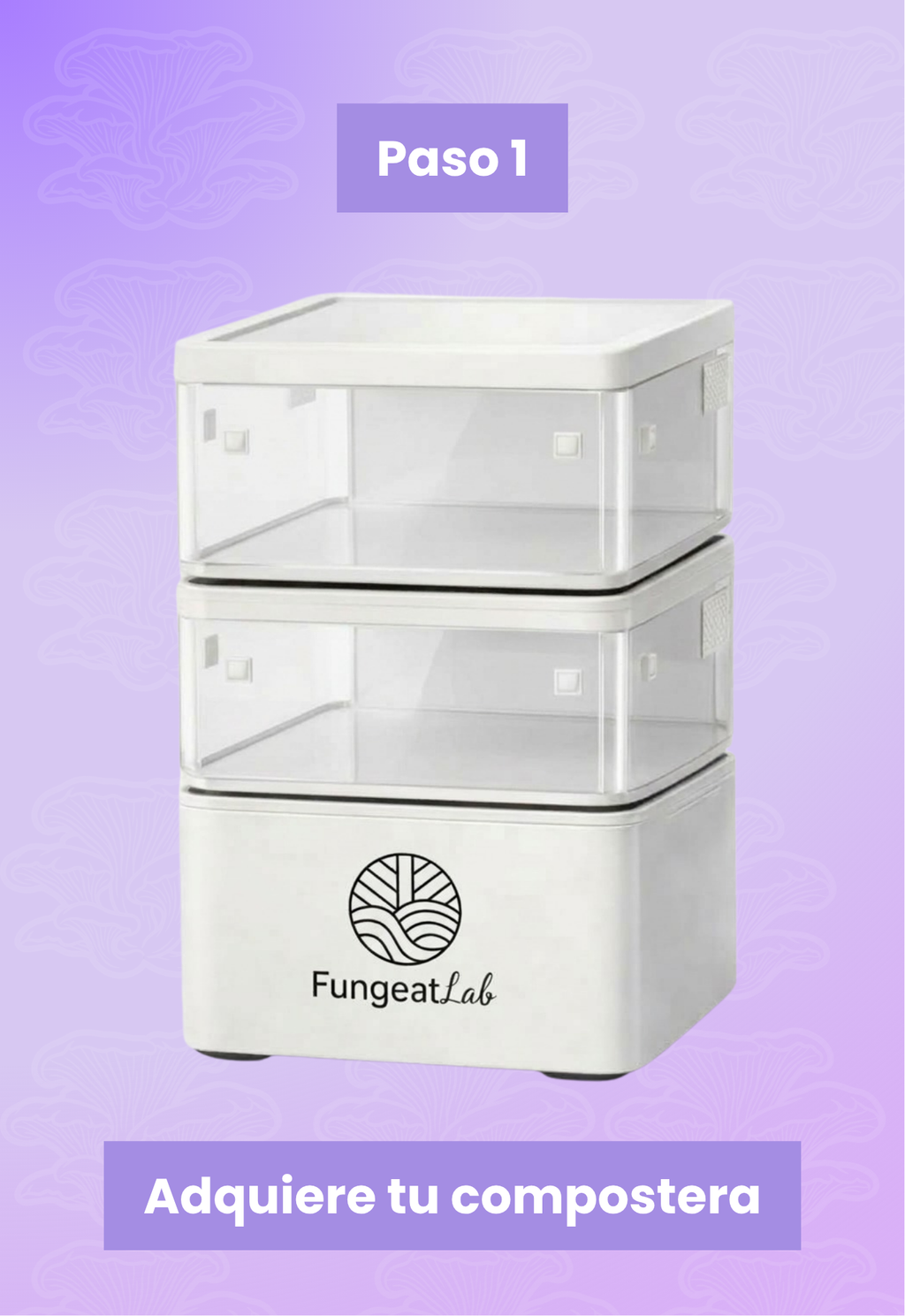 BIO-COMPOSTERA | Fungeat Lab Home