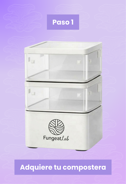 BIO-COMPOSTERA | Fungeat Lab Home