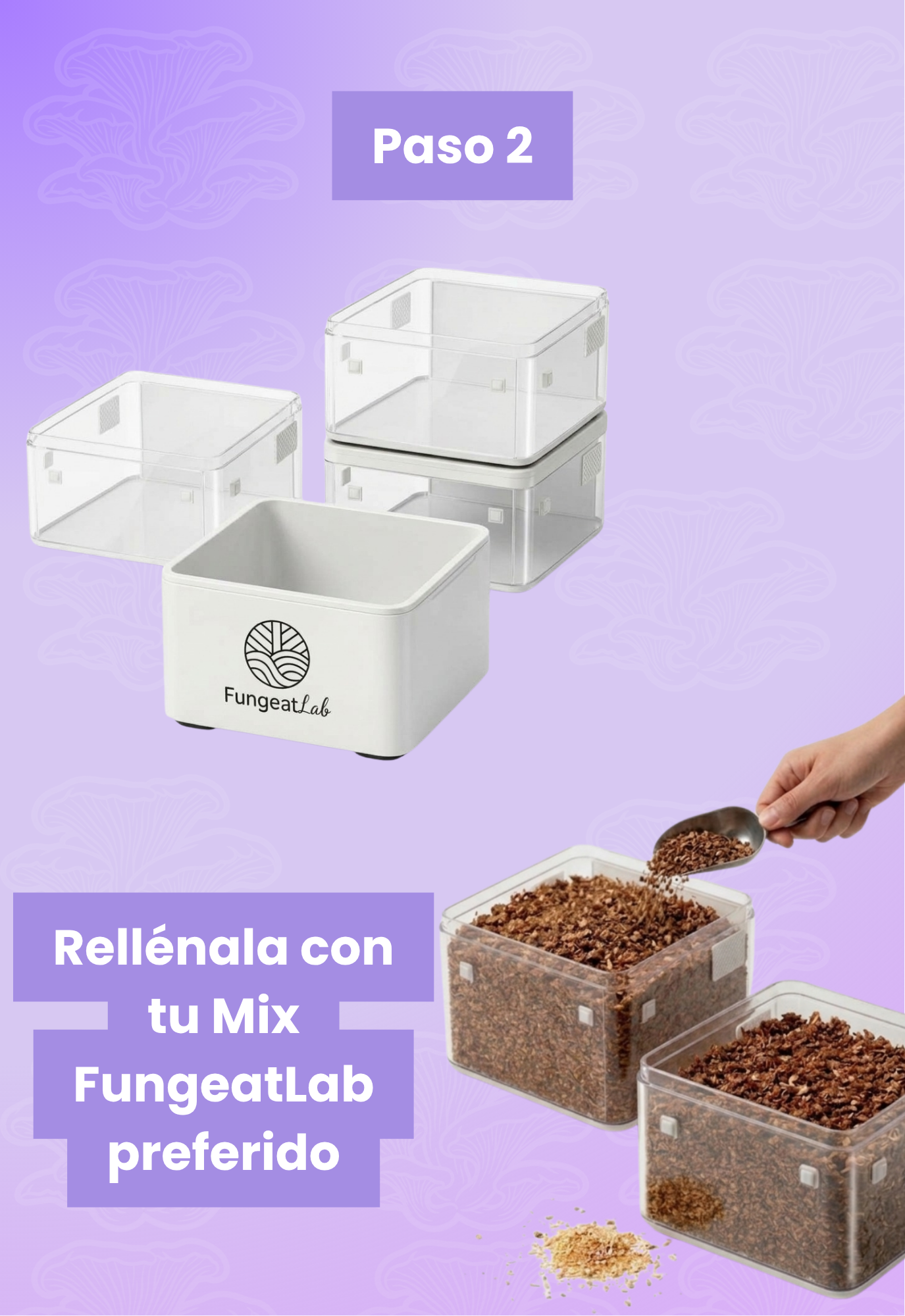 BIO-COMPOSTERA | Fungeat Lab Home