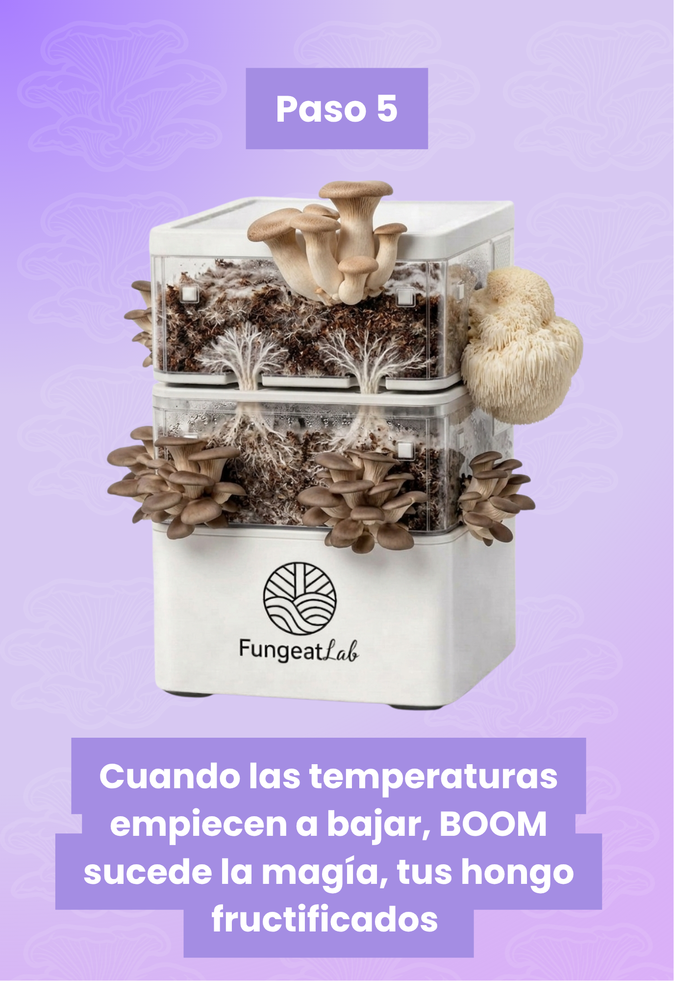 BIO-COMPOSTERA | Fungeat Lab Home